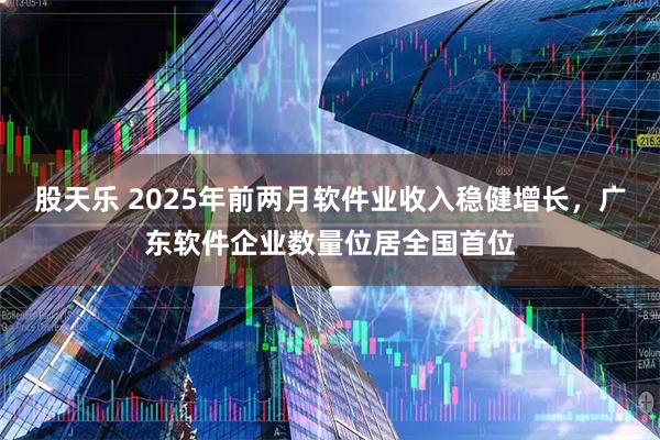 股天乐 2025年前两月软件业收入稳健增长，广东软件企业数量位居全国首位