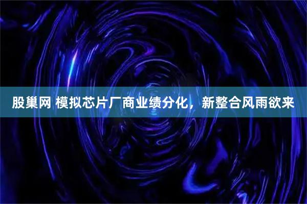 股巢网 模拟芯片厂商业绩分化，新整合风雨欲来