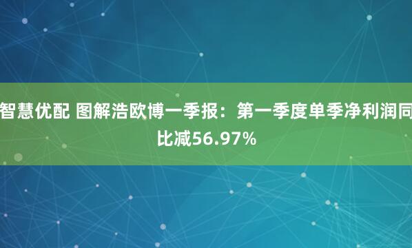 智慧优配 图解浩欧博一季报：第一季度单季净利润同比减56.97%
