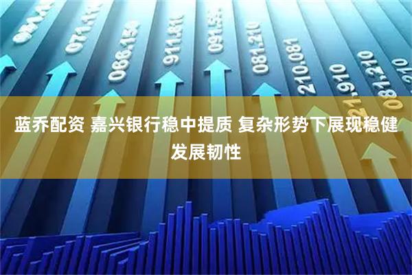 蓝乔配资 嘉兴银行稳中提质 复杂形势下展现稳健发展韧性