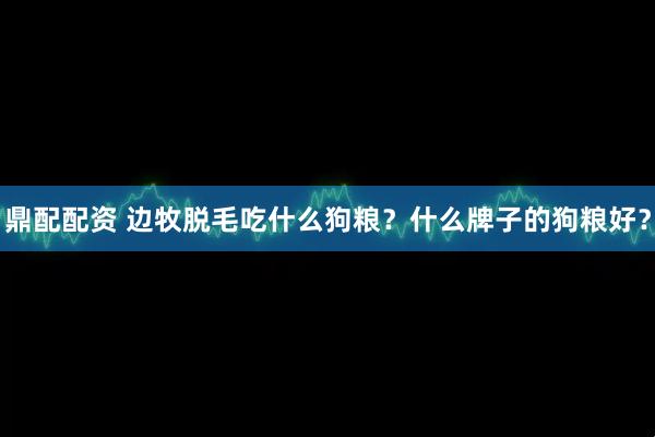 鼎配配资 边牧脱毛吃什么狗粮？什么牌子的狗粮好？