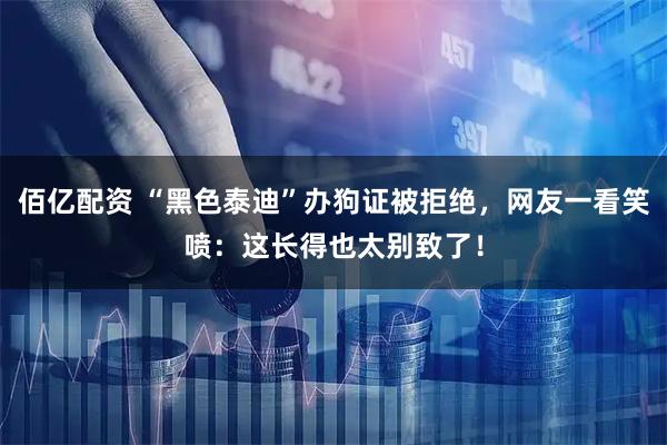佰亿配资 “黑色泰迪”办狗证被拒绝，网友一看笑喷：这长得也太别致了！