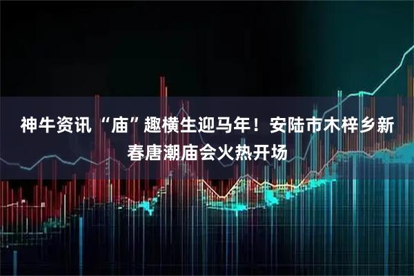 神牛资讯 “庙”趣横生迎马年！安陆市木梓乡新春唐潮庙会火热开场